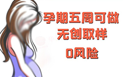 成都父亲和肚中胎儿如何办理DNA鉴定,成都无创产前亲子鉴定收费多少钱 成都父亲和肚中胎儿如何办理DNA鉴定,成都无创产前亲子鉴定收费多少钱